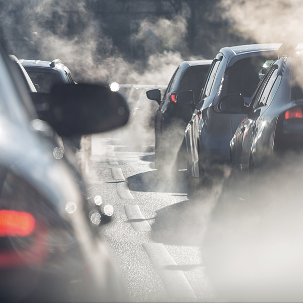 Offsetting Carbon Emissions, One Ton at a Time
