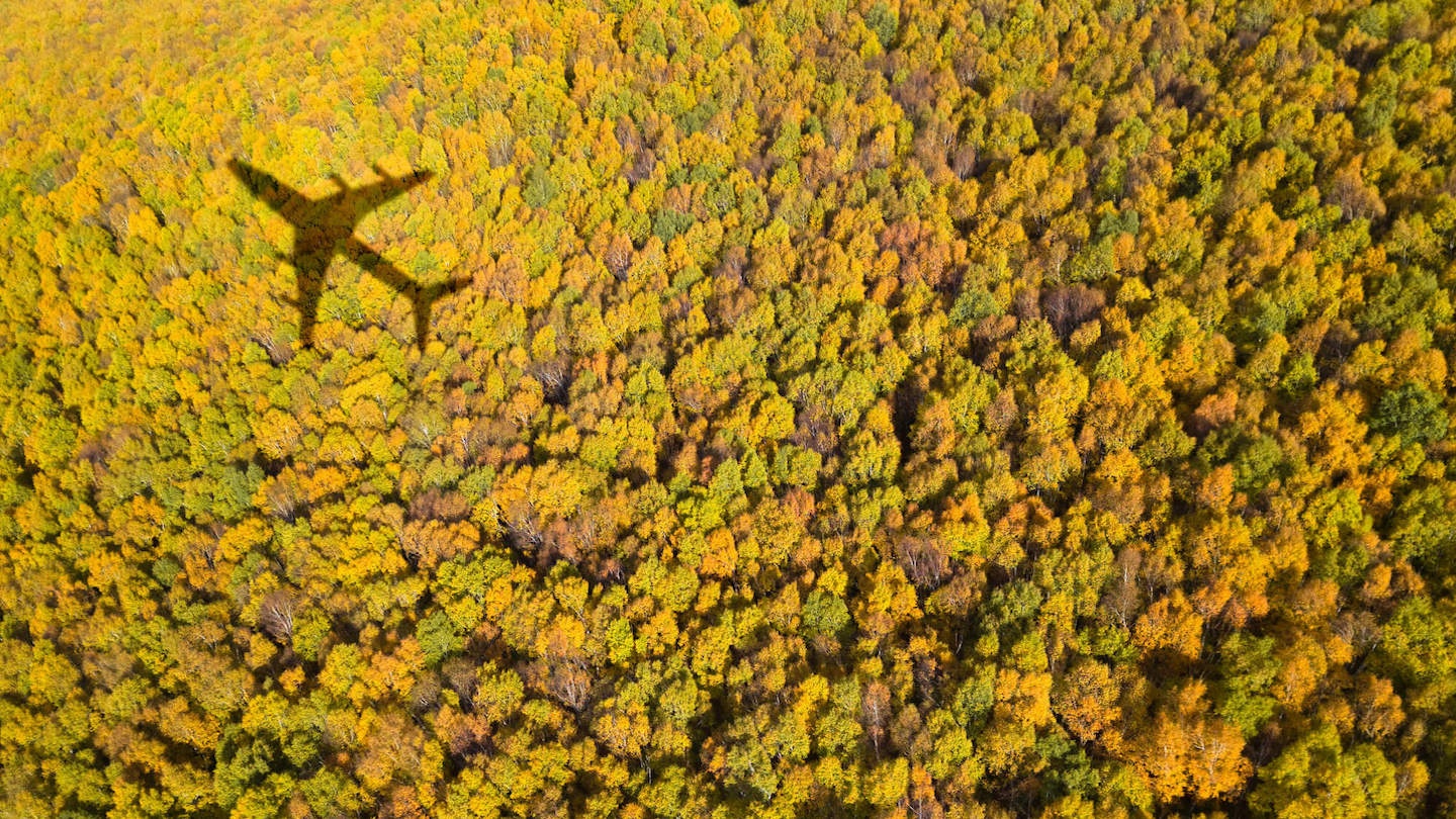 Airplane flying over a bright green forest